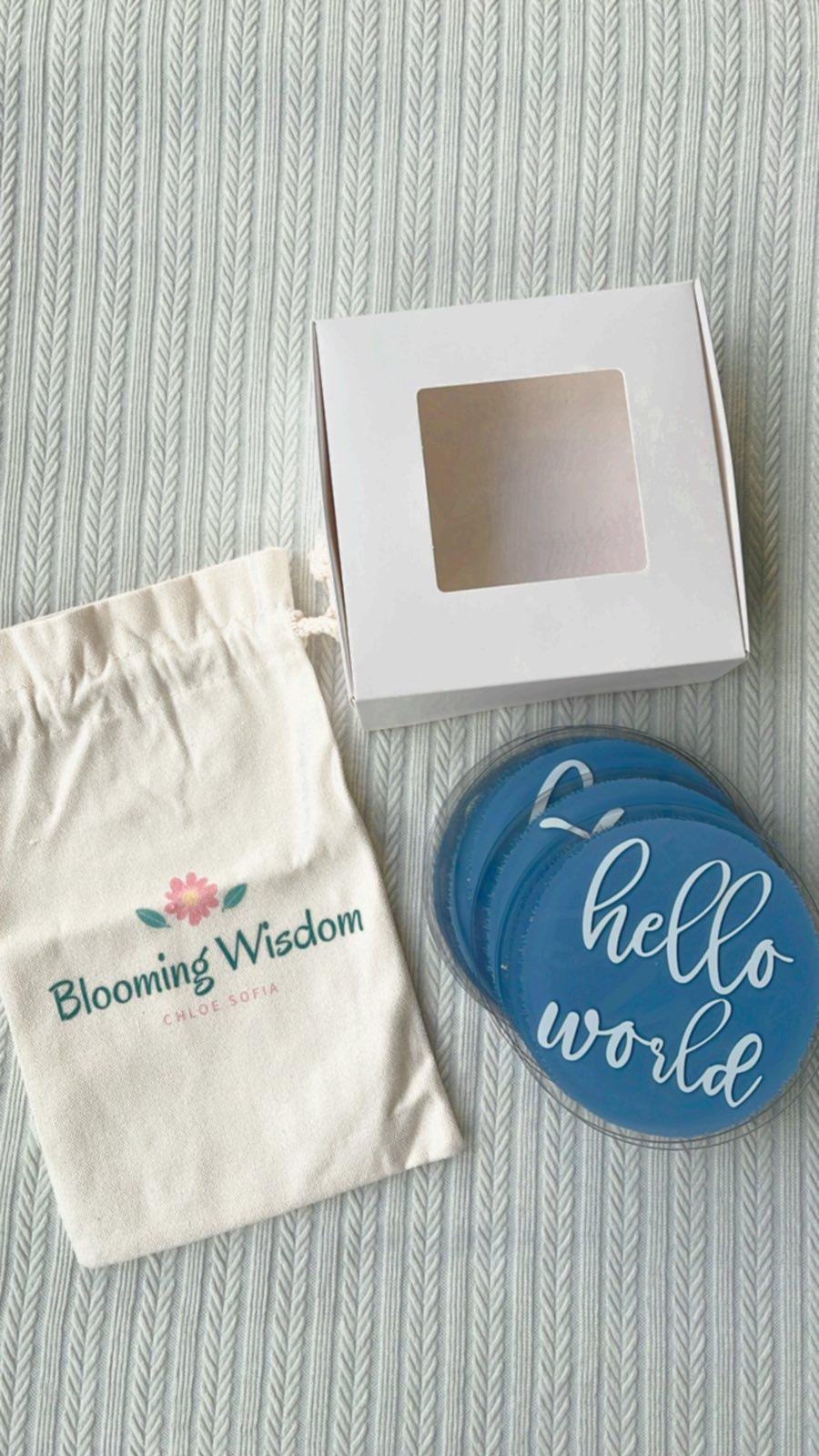 Blooming Wisdom Hello World Monthly Milestone Acrylic Discs | The Nest Attachment Parenting Hub
