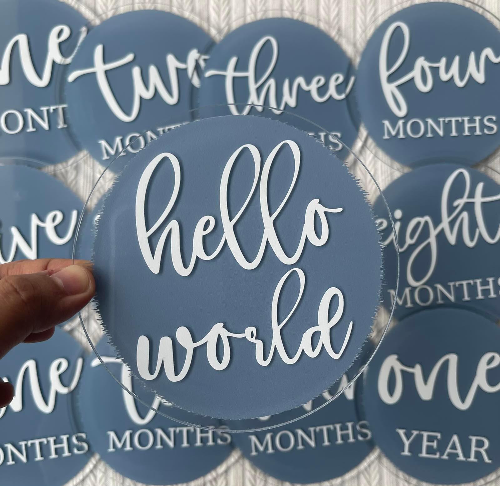 Blooming Wisdom Hello World Monthly Milestone Acrylic Discs | The Nest Attachment Parenting Hub