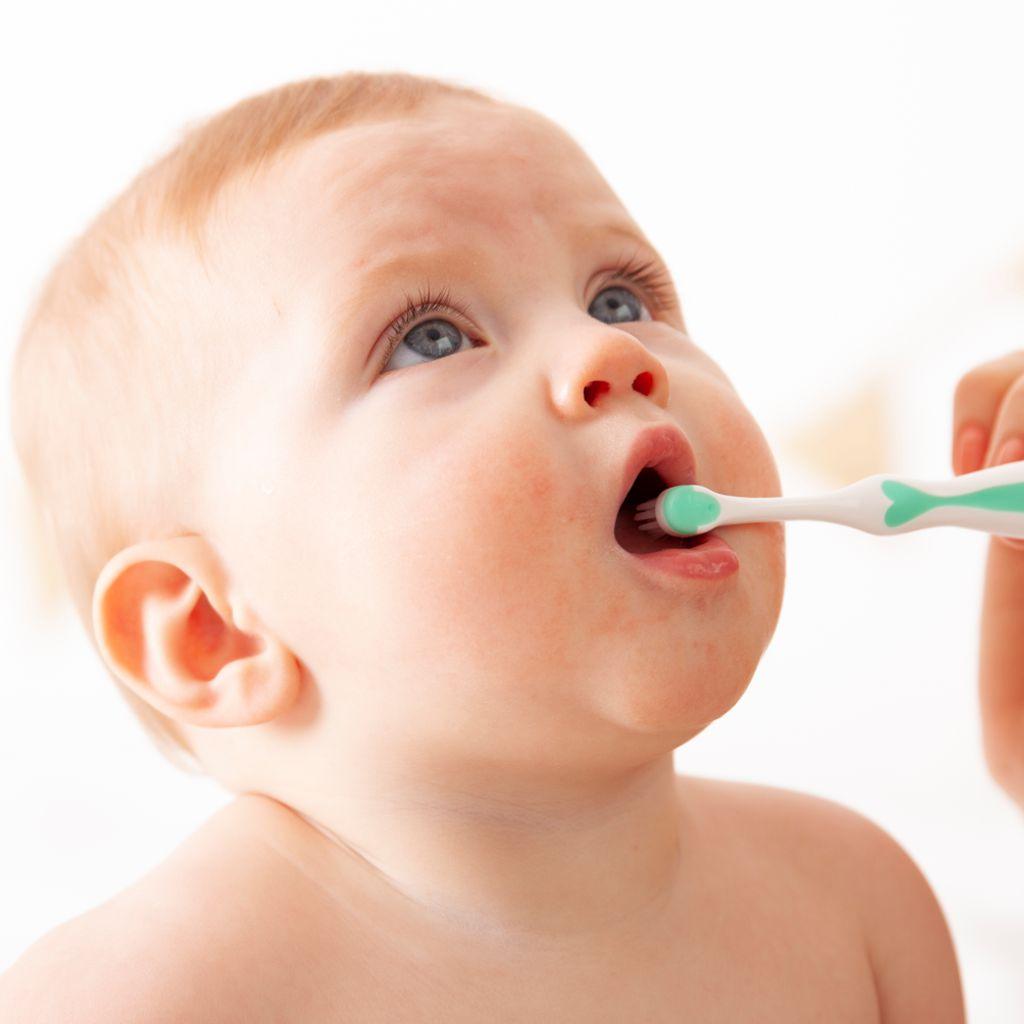 Brush-Baby FirstBrush 0-18m | The Nest Attachment Parenting Hub