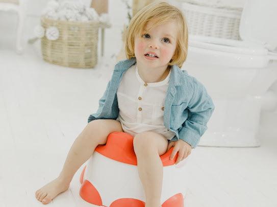 Bumbo Step 'n Potty | The Nest Attachment Parenting Hub