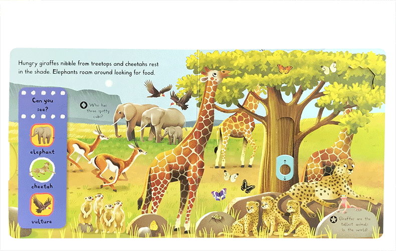 Campbell First Explorers Series: Wild Animals | The Nest Attachment Parenting Hub