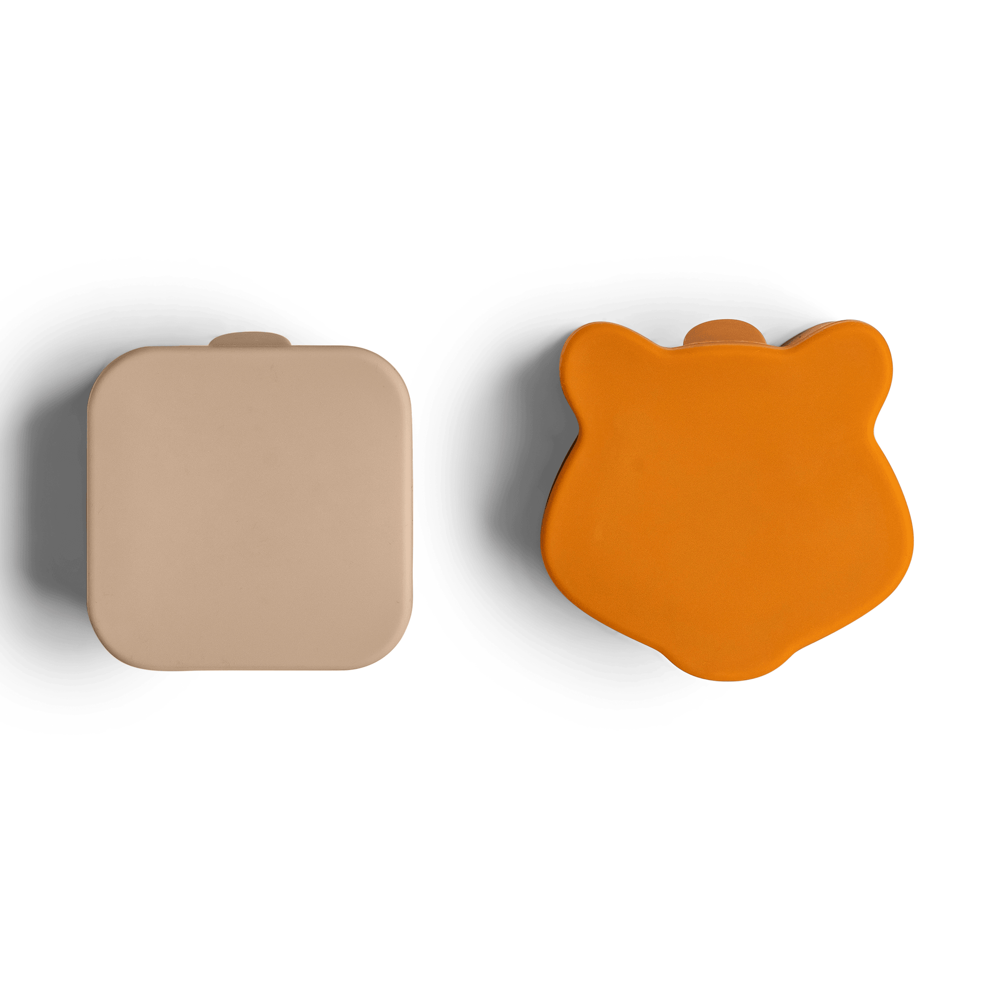 Citron Silicone Lunchbox Organizers 3+ | The Nest Attachment Parenting Hub