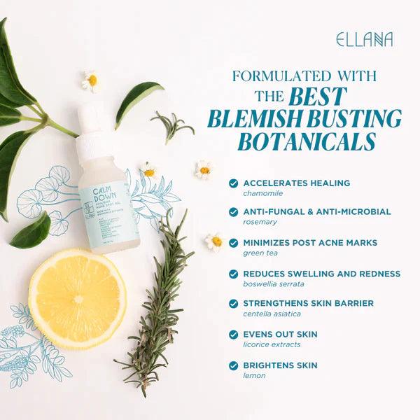 Ellana Minerals Calm Down AHA/BHA Acne Spot Gel 12g | The Nest Attachment Parenting Hub