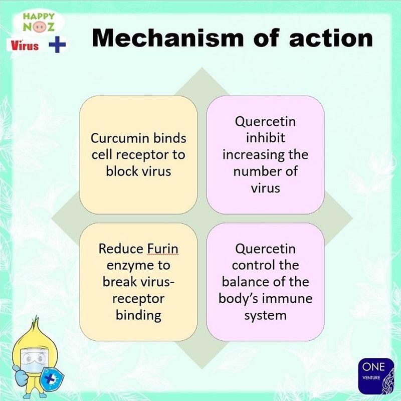 Happy Noz Anti Virus Formula Dino Collection 6pcs | The Nest Attachment Parenting Hub