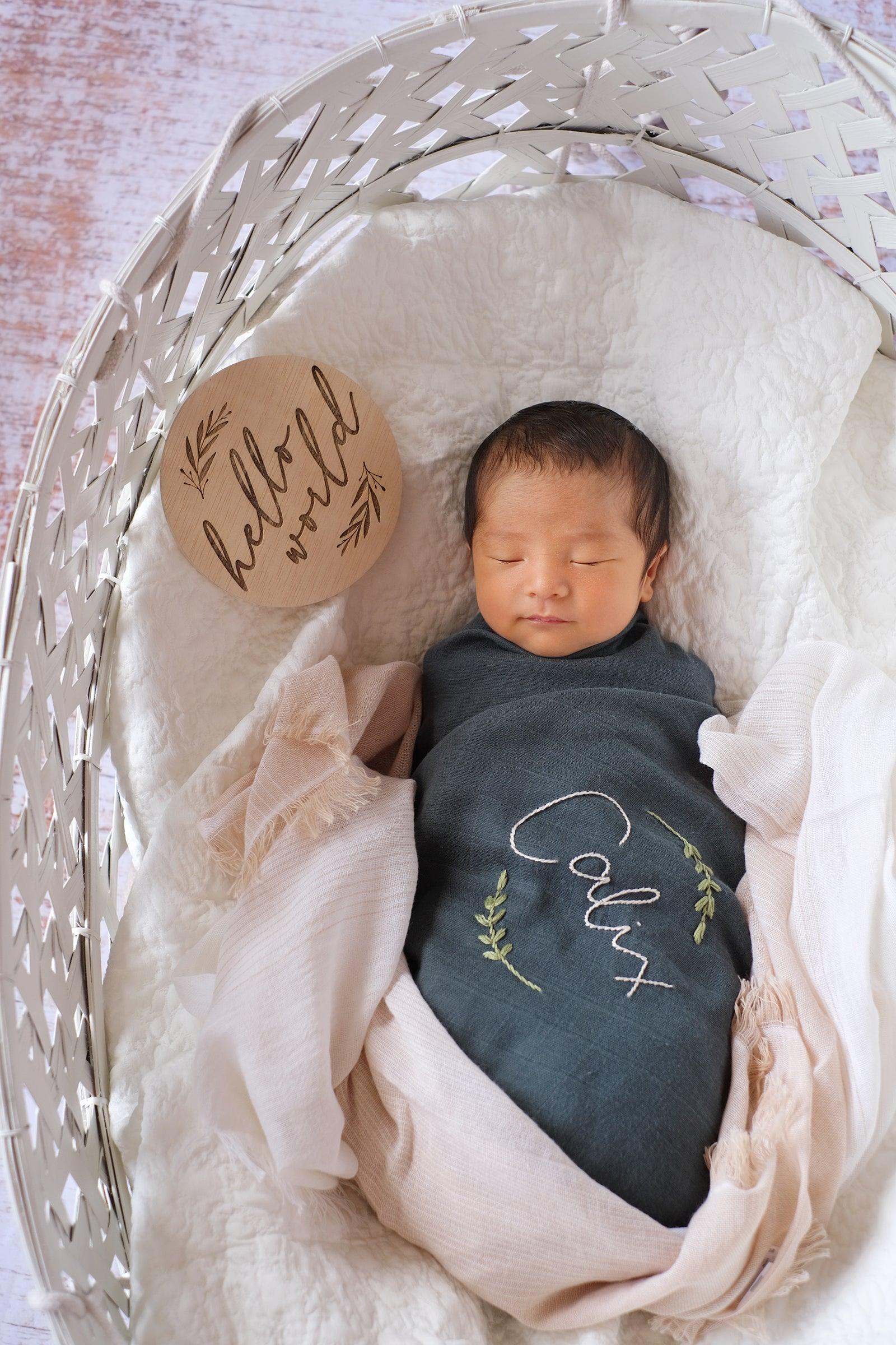 Hello World Baby Name and Announcement Disc | The Nest Attachment Parenting Hub