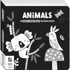 Hinkler Explore High Contrast Board Books | The Nest Attachment Parenting Hub