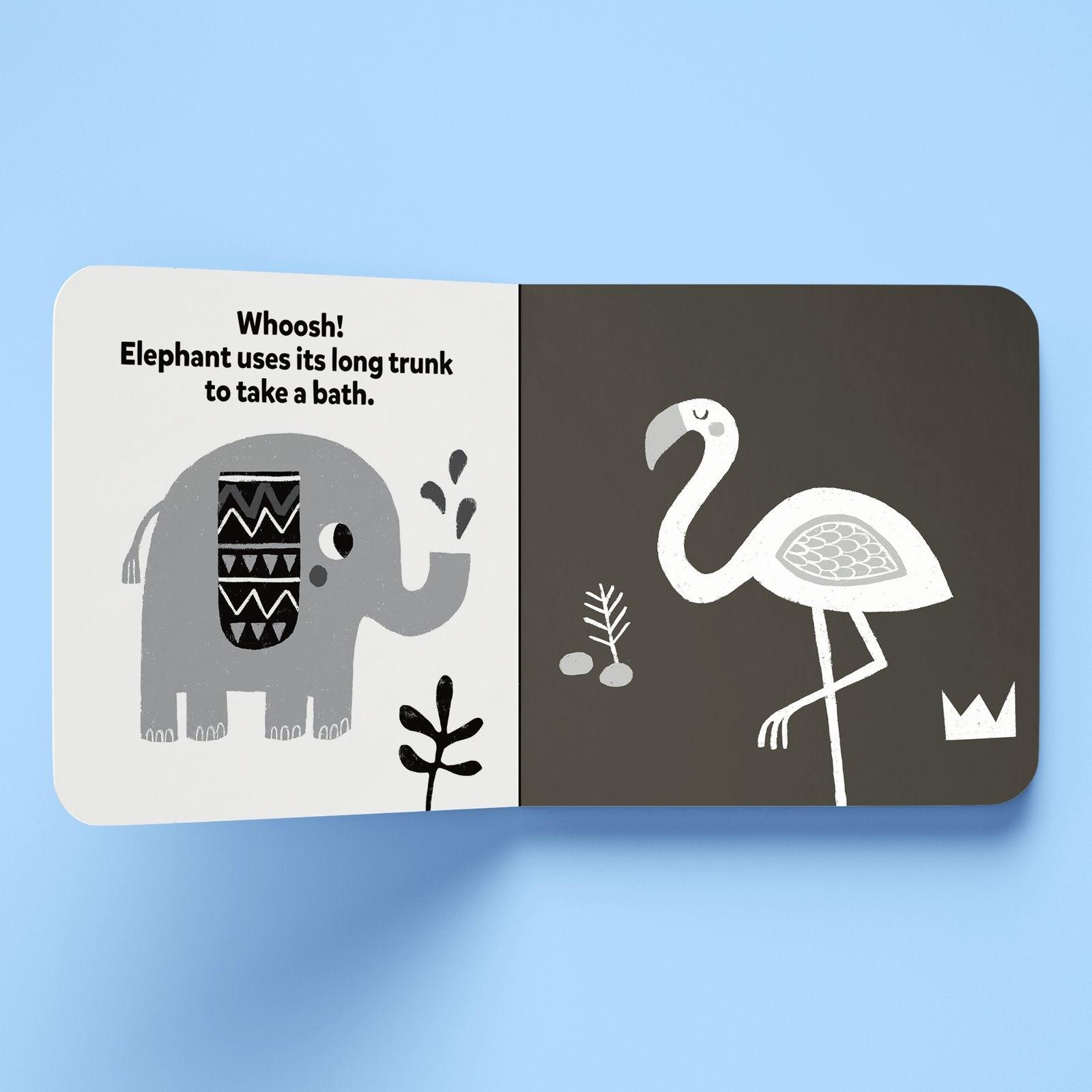 Hinkler Explore High Contrast Board Books | The Nest Attachment Parenting Hub