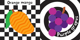 Indestructibles Book - Taste the Fruit | The Nest Attachment Parenting Hub