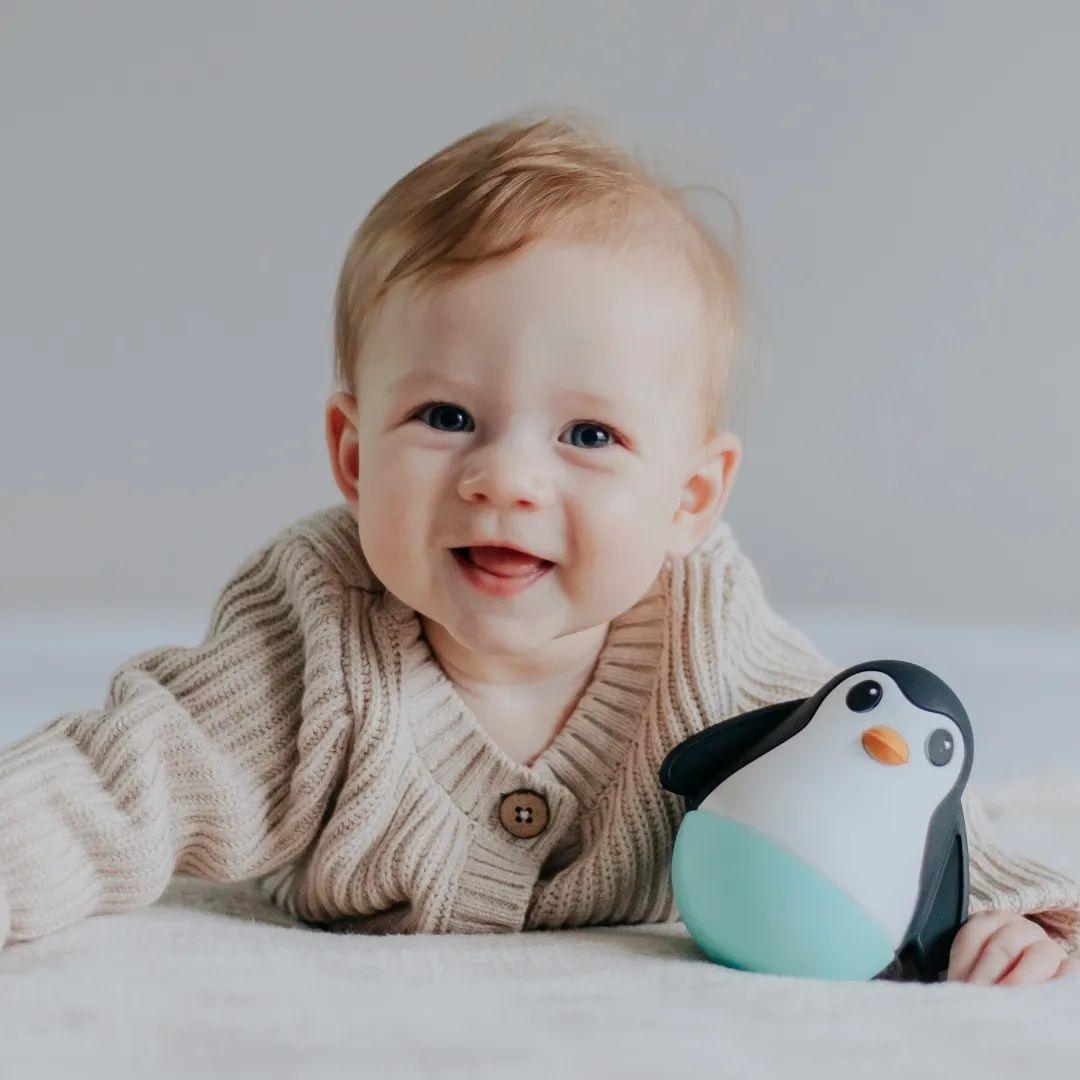 Jellystone Penguin Wobble 0m+ | The Nest Attachment Parenting Hub