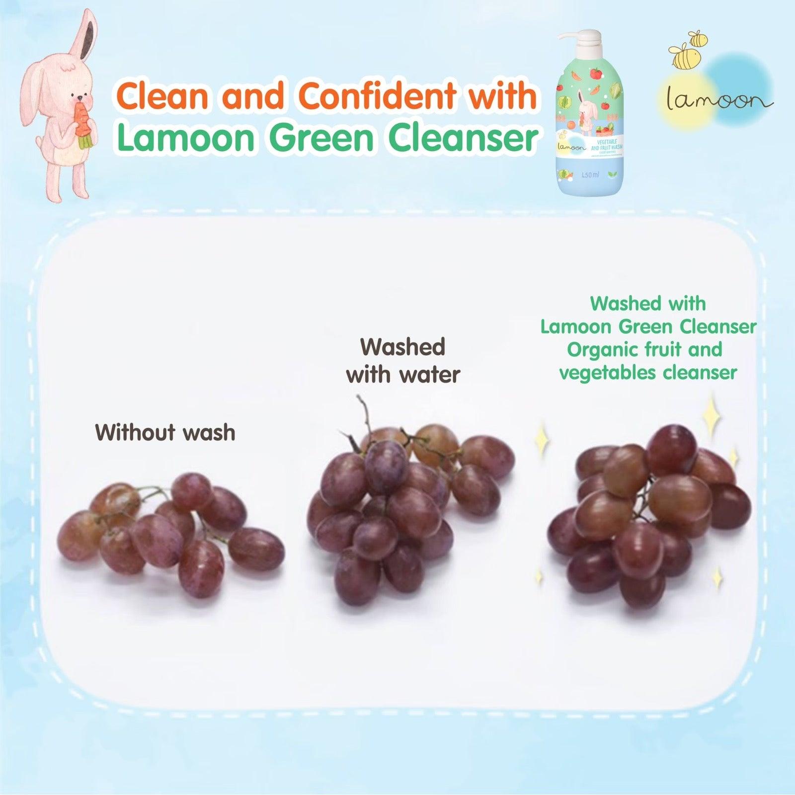Lamoon Vegetable & Fruit Wash (Food Additive) | The Nest Attachment Parenting Hub