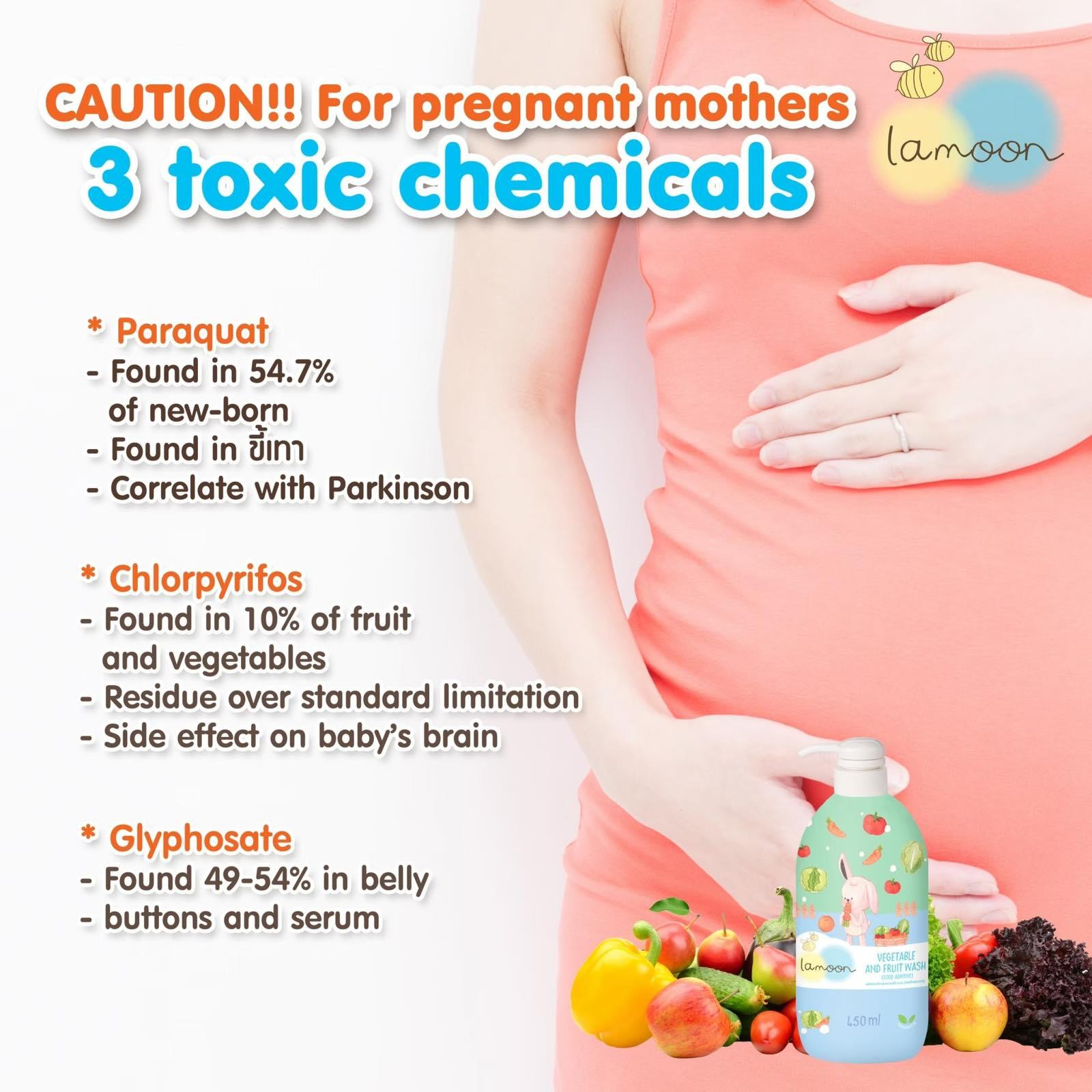 Lamoon Vegetable & Fruit Wash (Food Additive) | The Nest Attachment Parenting Hub