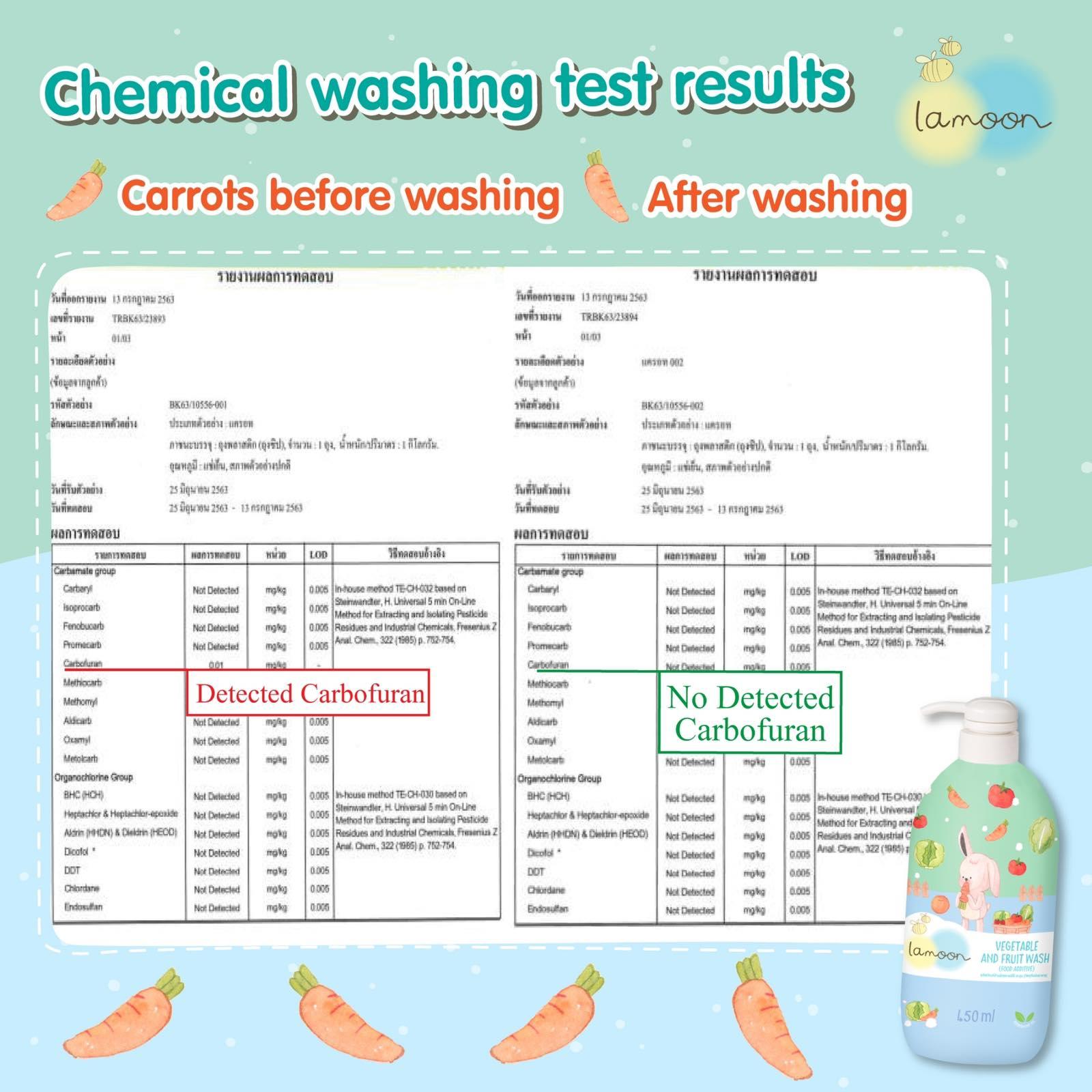 Lamoon Vegetable & Fruit Wash (Food Additive) | The Nest Attachment Parenting Hub