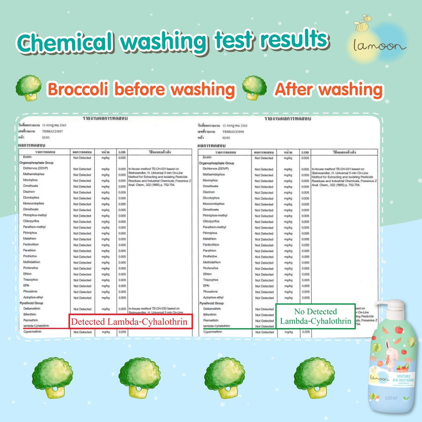 Lamoon Vegetable & Fruit Wash (Food Additive) | The Nest Attachment Parenting Hub