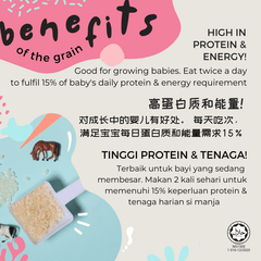 Little Baby Grains Basic Range 6m+ | The Nest Attachment Parenting Hub