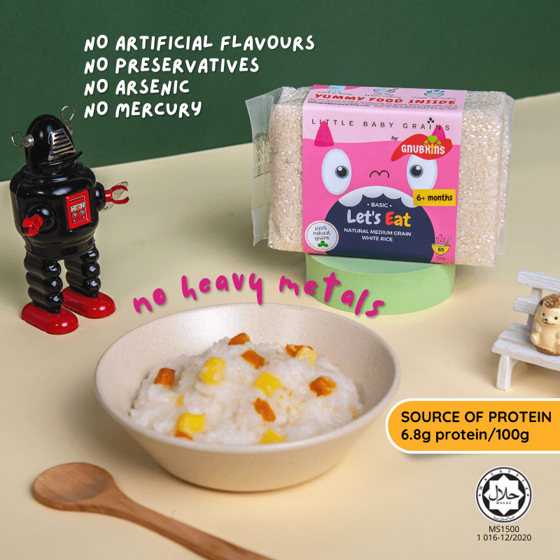 Gnubkins Basic Range 6m+ | The Nest Attachment Parenting Hub