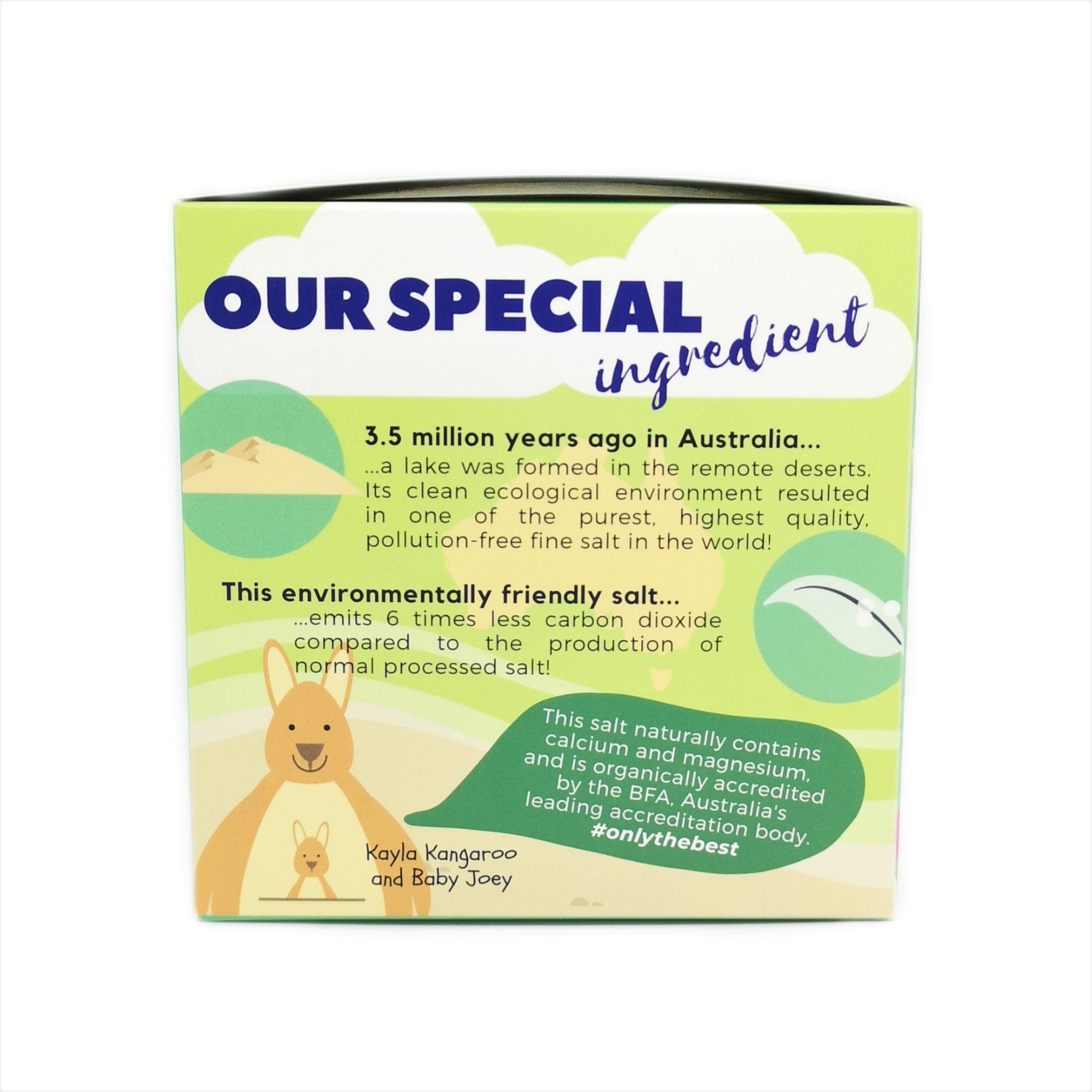 Little Baby Grains Ramen Noodles | The Nest Attachment Parenting Hub