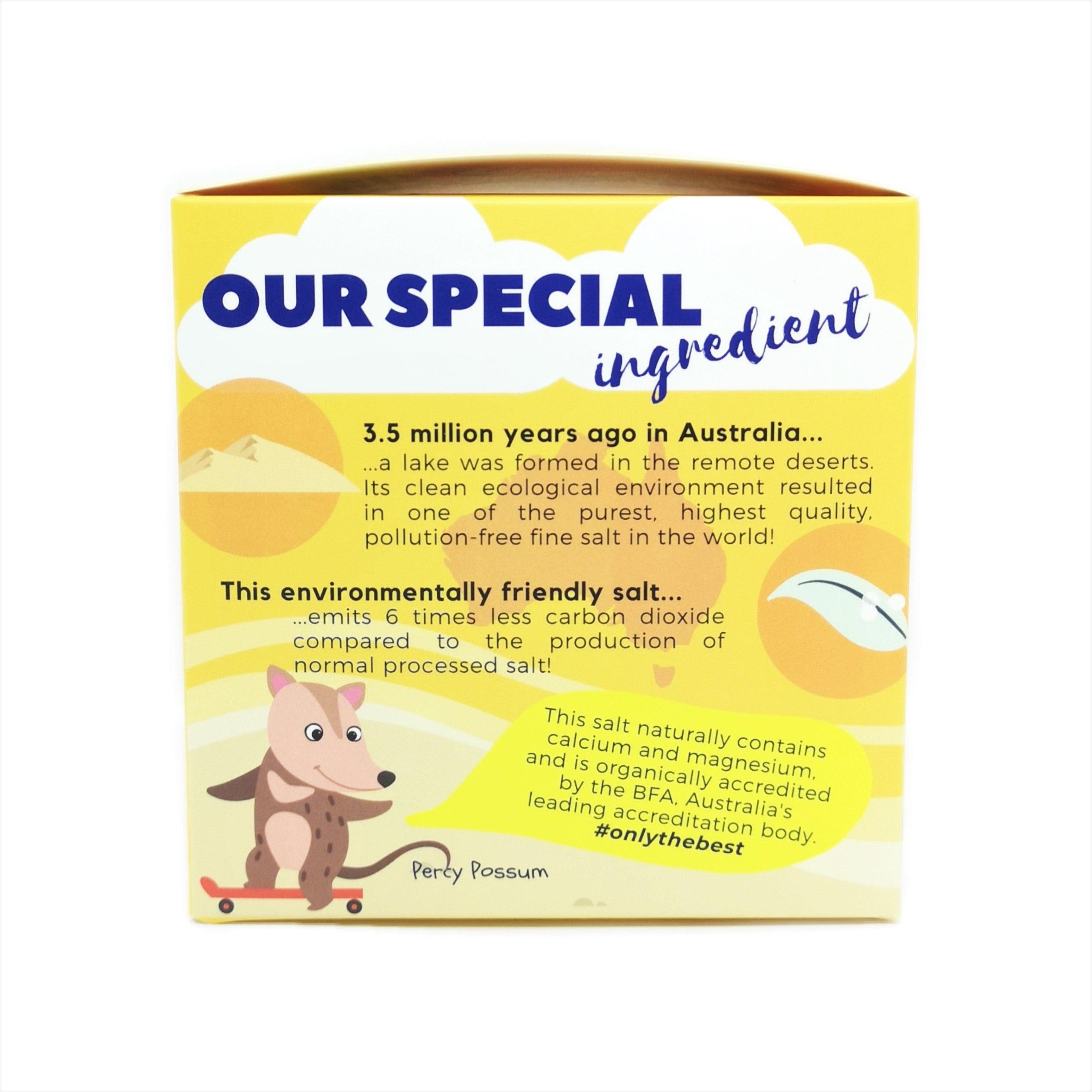 Little Baby Grains Ramen Noodles | The Nest Attachment Parenting Hub