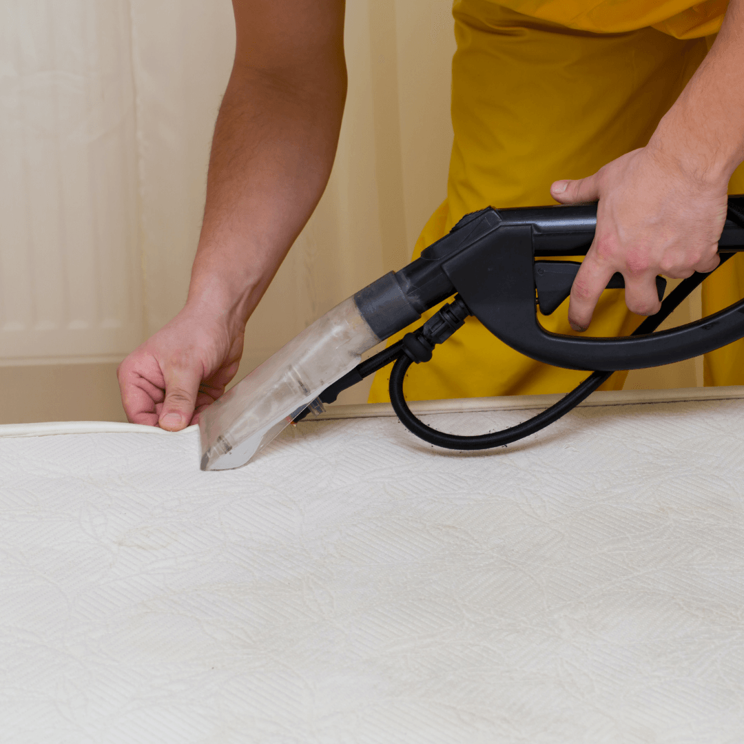 LRA Cleaning Services - Crib Shampoo w/ Steam | The Nest Attachment Parenting Hub