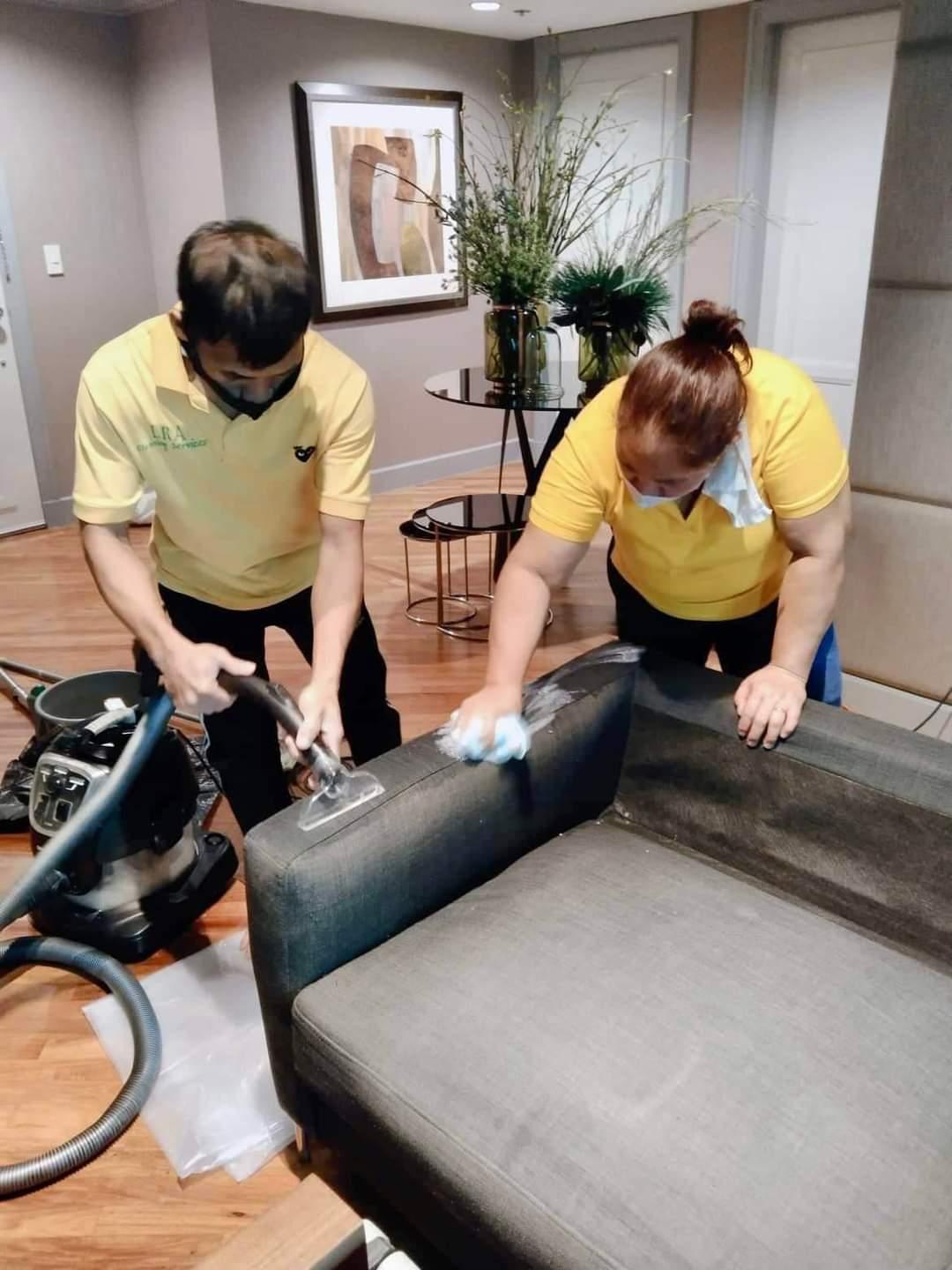 LRA Cleaning Services Sofa Shampoo w/ Steam | The Nest Attachment Parenting Hub