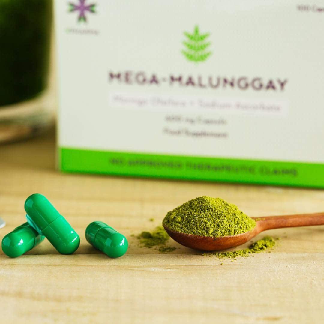 Mega-Malunggay Food Supplement | The Nest Attachment Parenting Hub