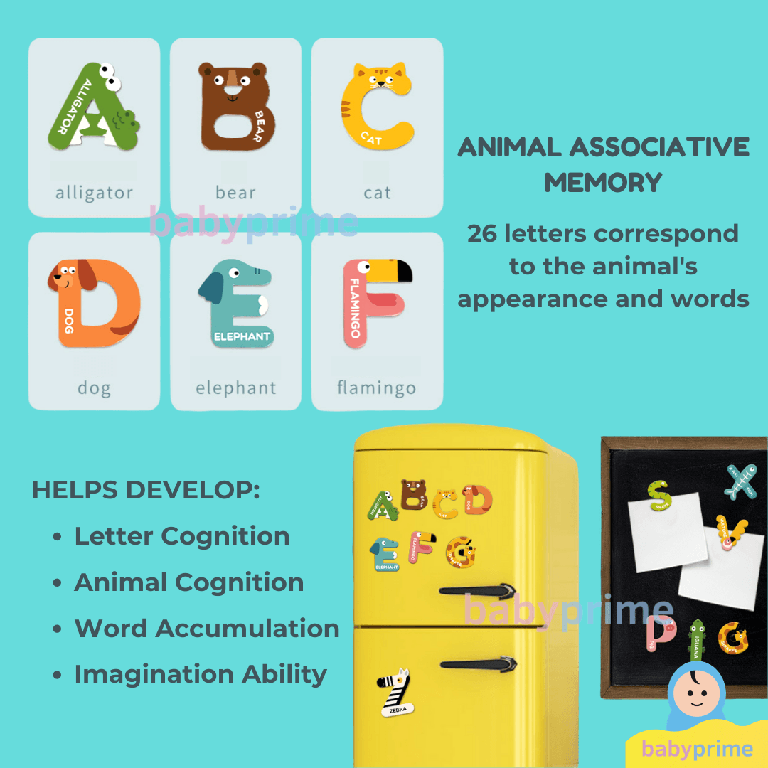 Mideer - Letter Magnets | The Nest Attachment Parenting Hub