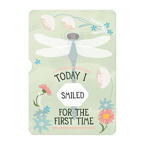 Milestone Turnwheel | The Nest Attachment Parenting Hub