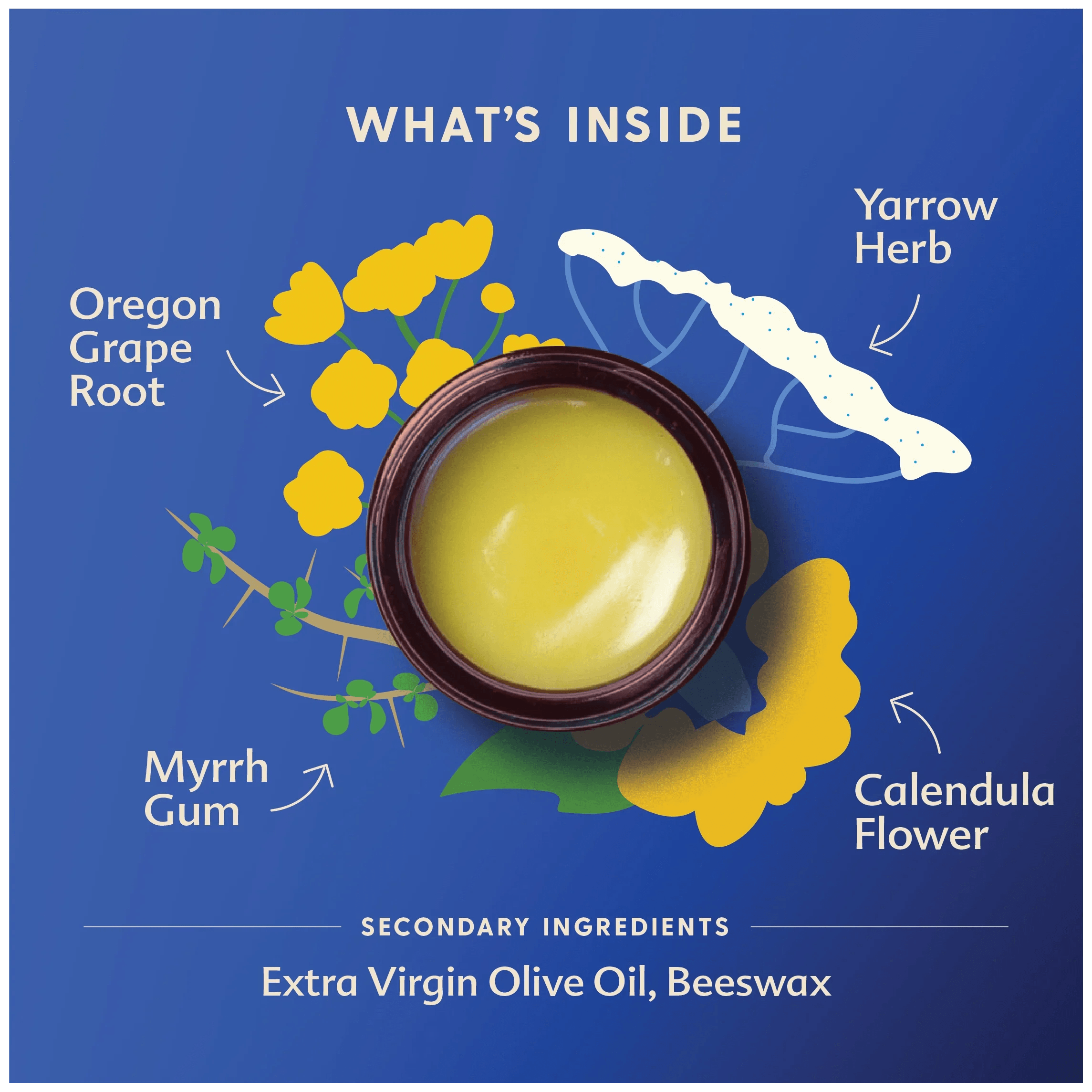 Motherlove Diaper Balm 1 oz | The Nest Attachment Parenting Hub