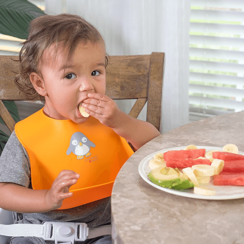 Naturebond Silicone Baby Bibs 2pcs | The Nest Attachment Parenting Hub