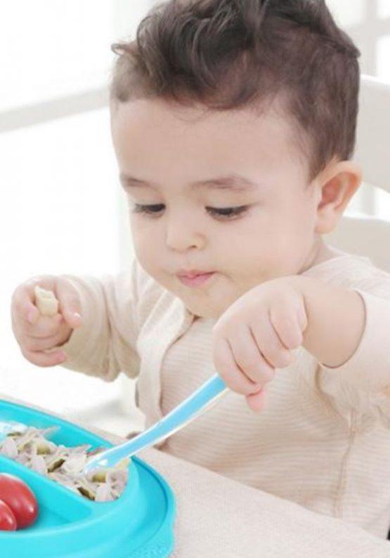 NewOne by Mambobaby Silicone Plate | The Nest Attachment Parenting Hub