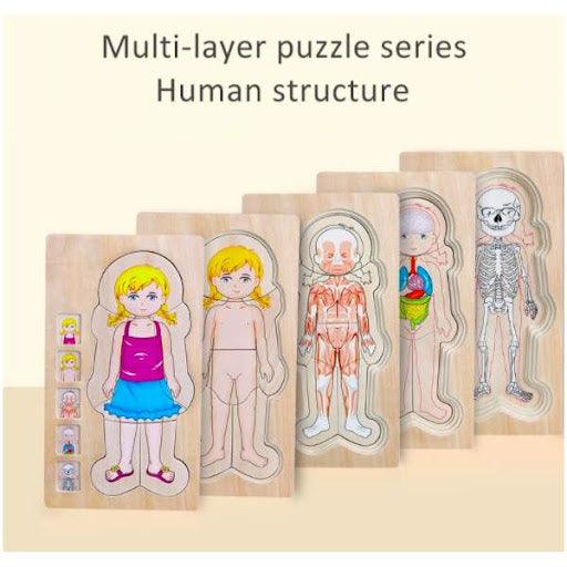 https://thenestaph.com/cdn/shop/files/onshine-layered-body-puzzle-3-the-nest-attachment-parenting-hub-2_533x.jpg?v=1703851053