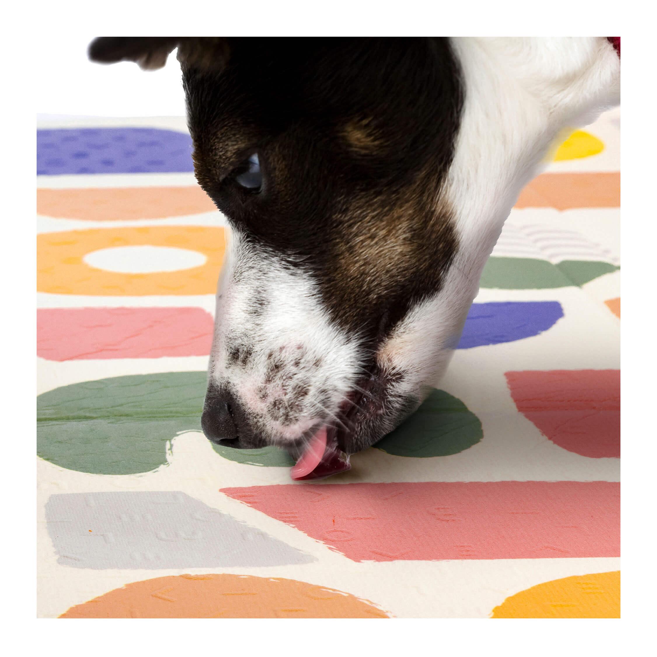 Oribel PurePlay AntiBac Playmat | The Nest Attachment Parenting Hub