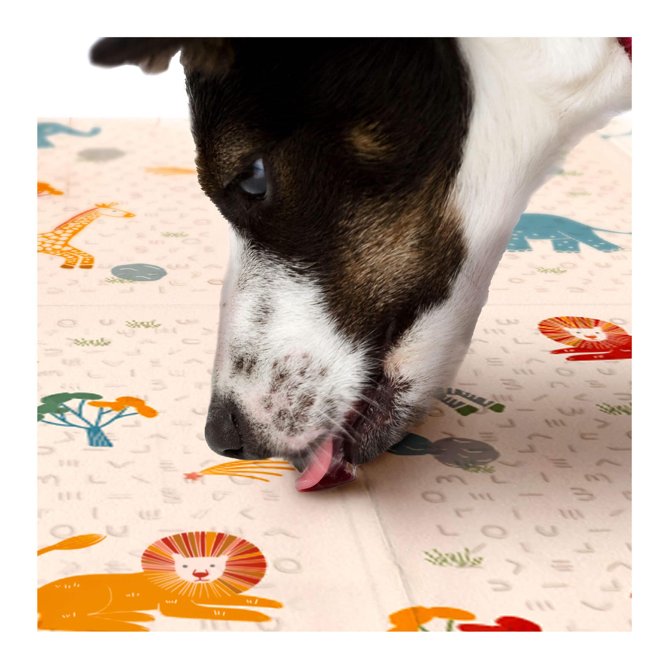 Oribel PurePlay AntiBac Playmat | The Nest Attachment Parenting Hub