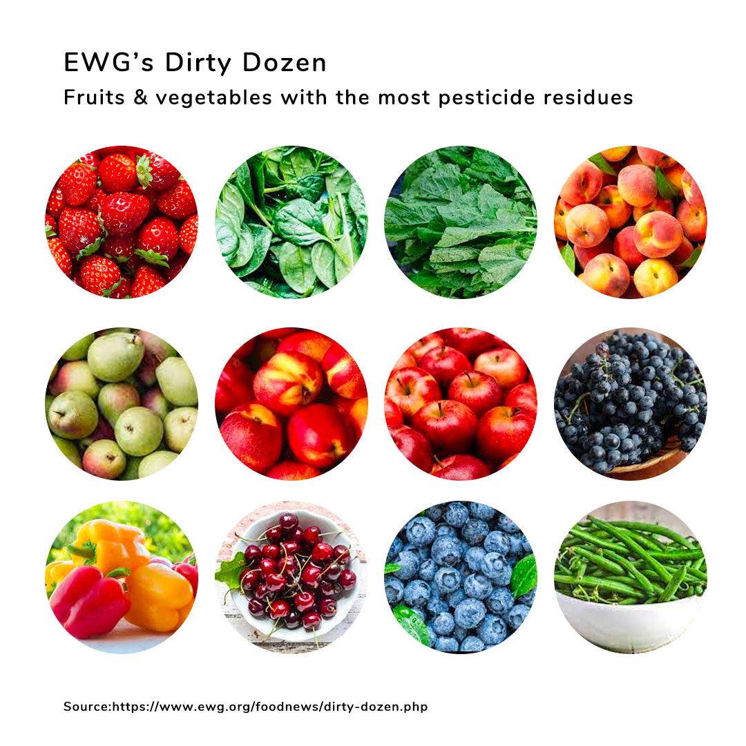 Otterly Portable Fruit & Vegetable Sterilizer | The Nest Attachment Parenting Hub