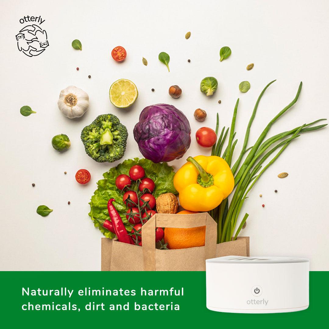 Otterly Portable Fruit & Vegetable Sterilizer | The Nest Attachment Parenting Hub