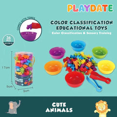 Playdate Color Classification Educational Toys 3+ | The Nest Attachment Parenting Hub