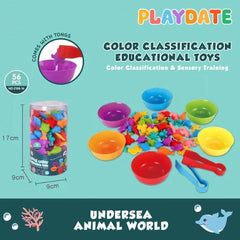 Playdate Color Classification Educational Toys 3+ | The Nest Attachment Parenting Hub