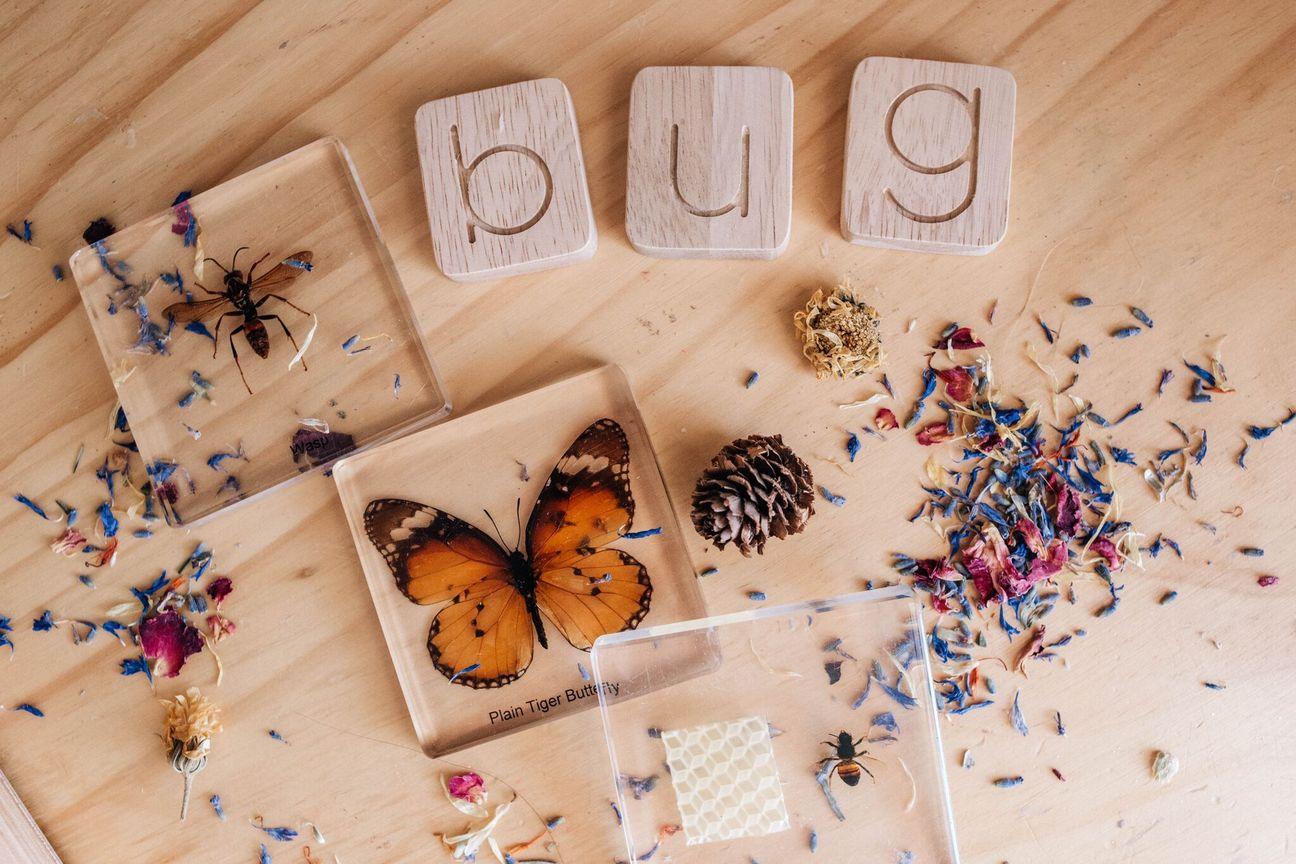 QToys CVC Word Building Kit 589 | The Nest Attachment Parenting Hub