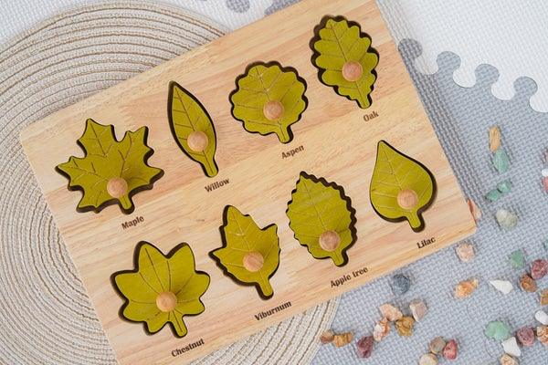 QToys Montessori Leaf Puzzle | The Nest Attachment Parenting Hub
