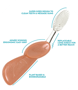 Radius Big Brush w/ Replaceable Head | The Nest Attachment Parenting Hub