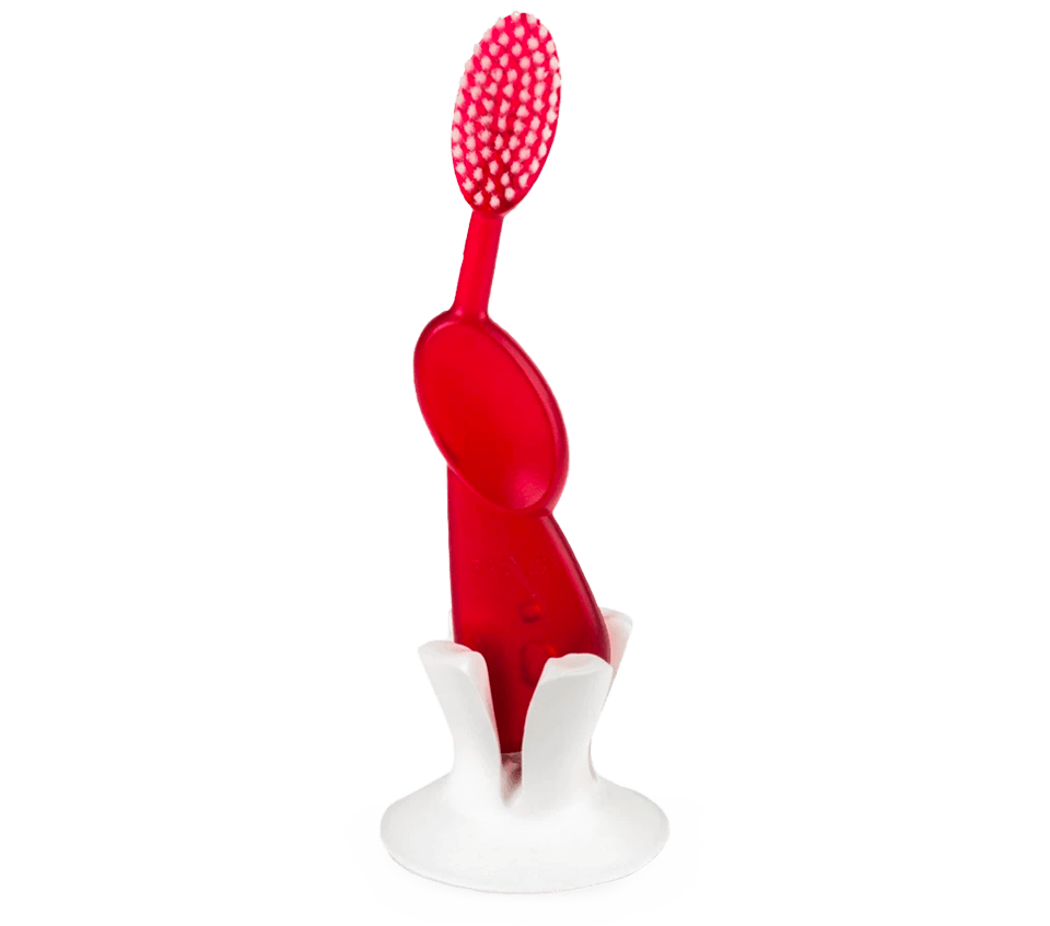 Radius The Doc™ Toothbrush / Razor Holder | The Nest Attachment Parenting Hub