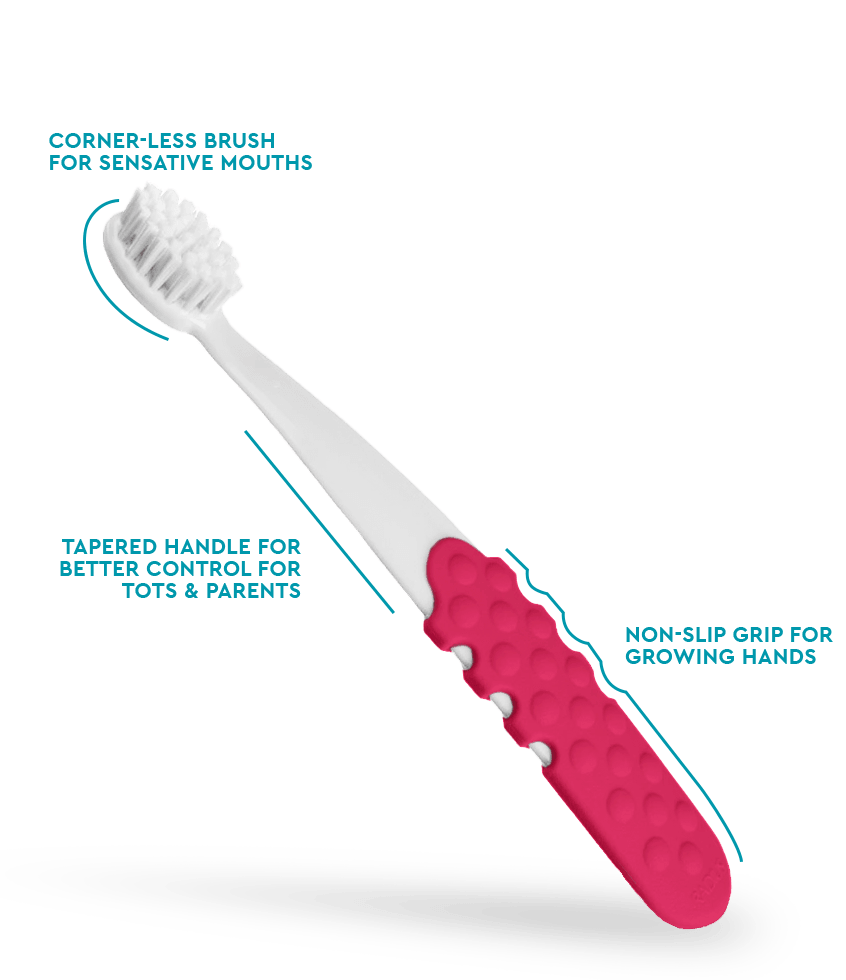 Radius Totz Plus Brush 3+ | The Nest Attachment Parenting Hub