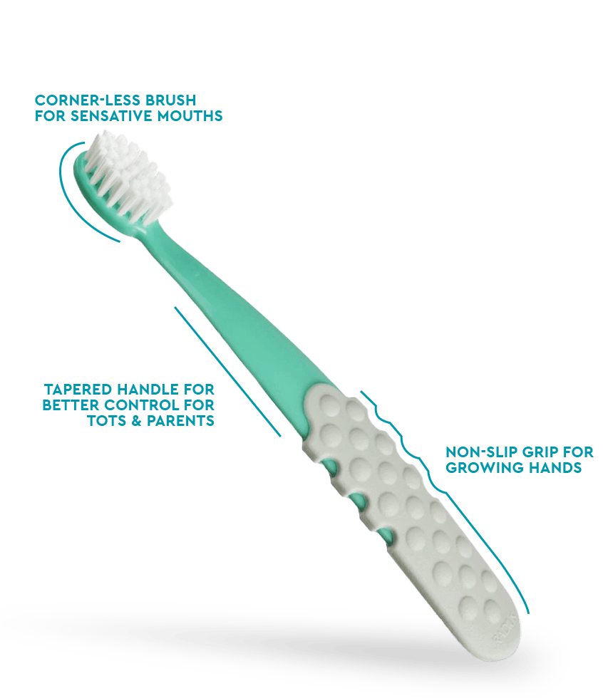 Radius Totz Plus Brush 3+ | The Nest Attachment Parenting Hub