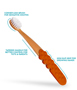 Radius Totz Plus Brush 3+ | The Nest Attachment Parenting Hub