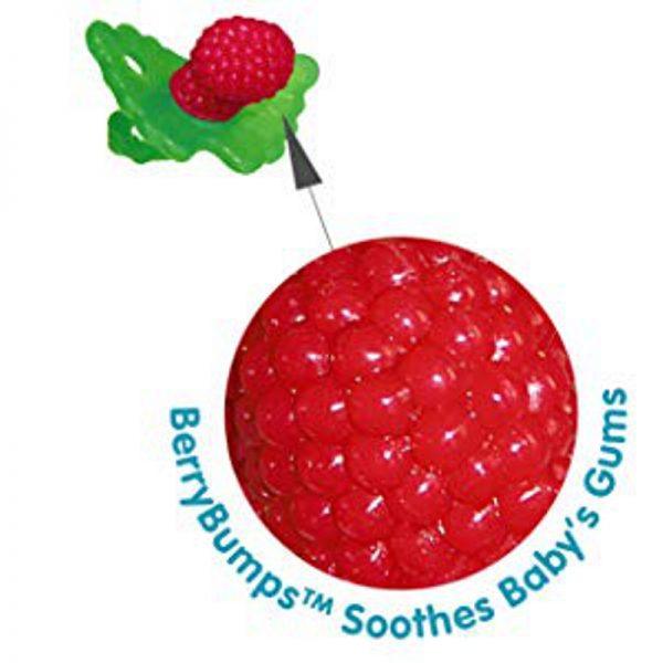 RaZBerry Teether | The Nest Attachment Parenting Hub