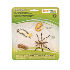 Safari Ltd Life Cycle of a Mosquito | The Nest Attachment Parenting Hub