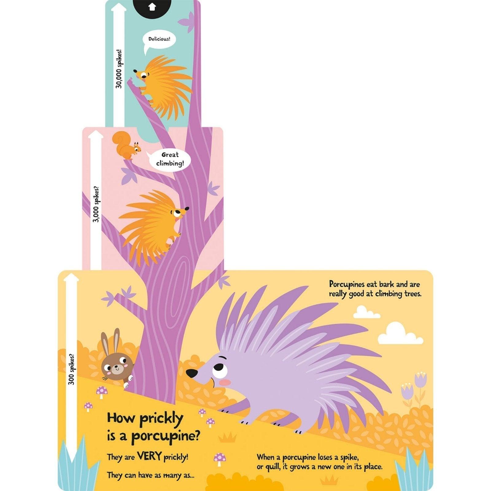 Slide and Seek Book: How Wide is a Whale? | The Nest Attachment Parenting Hub