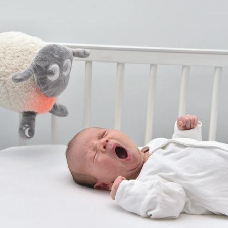 Sweet Dreamers Ewan Deluxe | The Nest Attachment Parenting Hub