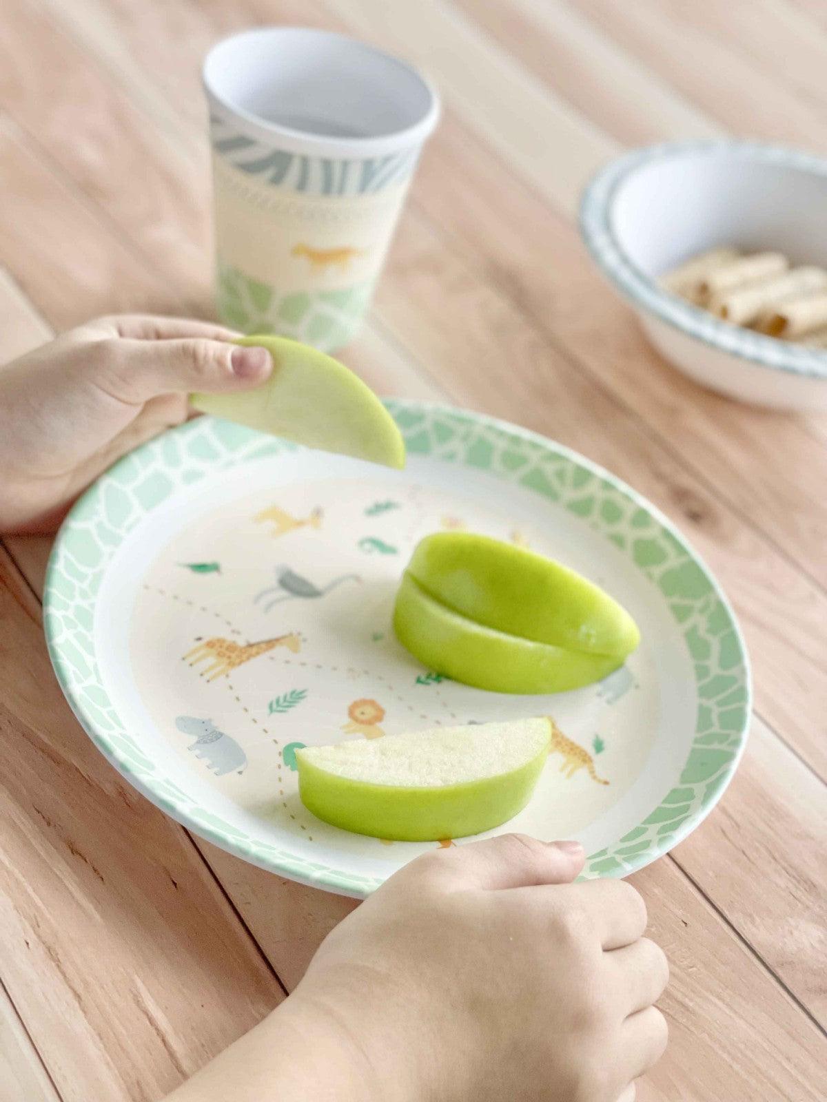Totsafe Premium Melamine Dishware Set | The Nest Attachment Parenting Hub