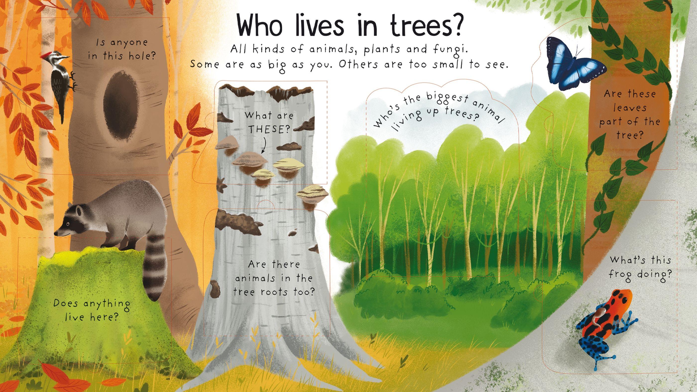 Usborne - First Questions and Answers: Why do we need trees? 4y+ | The Nest Attachment Parenting Hub