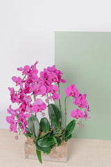 Vivi by Flossom Magaera Acrylic Gift Box (Large Orchids) | The Nest Attachment Parenting Hub